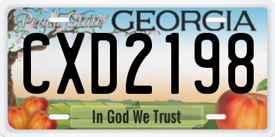 GA license plate CXD2198