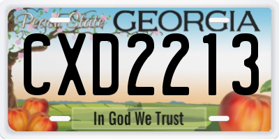 GA license plate CXD2213