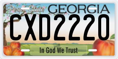 GA license plate CXD2220