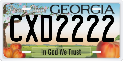 GA license plate CXD2222