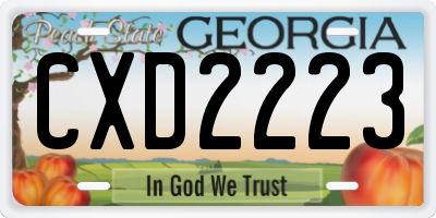 GA license plate CXD2223