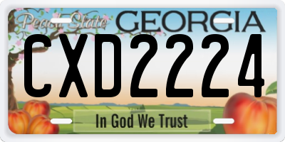 GA license plate CXD2224