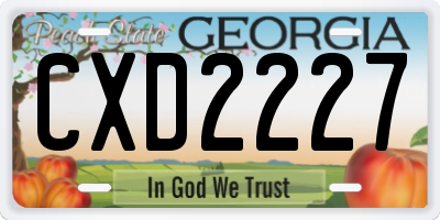 GA license plate CXD2227