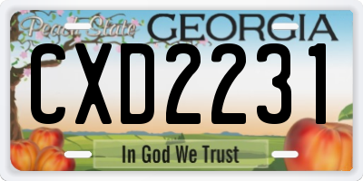 GA license plate CXD2231