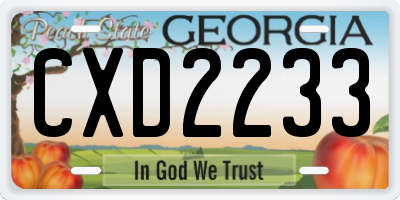 GA license plate CXD2233