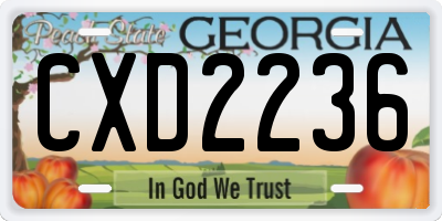GA license plate CXD2236