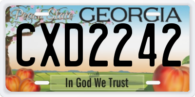 GA license plate CXD2242