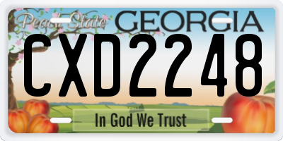 GA license plate CXD2248