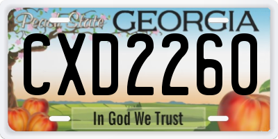 GA license plate CXD2260