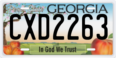 GA license plate CXD2263