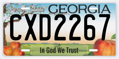 GA license plate CXD2267