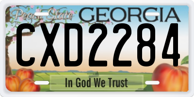 GA license plate CXD2284