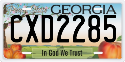 GA license plate CXD2285