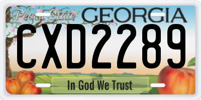 GA license plate CXD2289