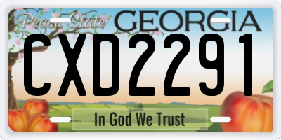 GA license plate CXD2291