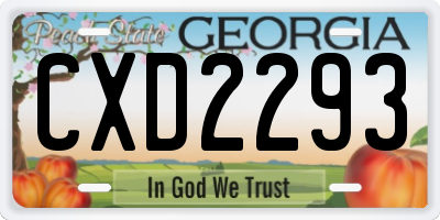 GA license plate CXD2293