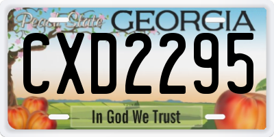 GA license plate CXD2295