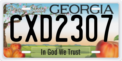 GA license plate CXD2307