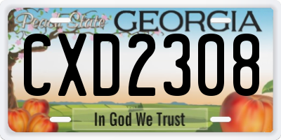 GA license plate CXD2308