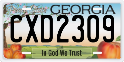 GA license plate CXD2309