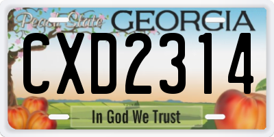 GA license plate CXD2314