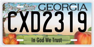 GA license plate CXD2319