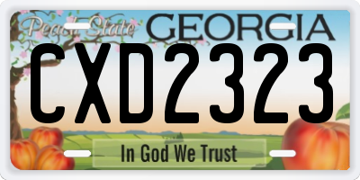 GA license plate CXD2323