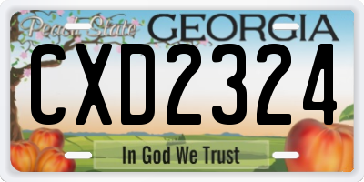 GA license plate CXD2324