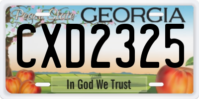 GA license plate CXD2325