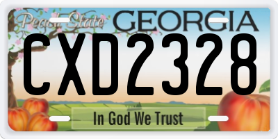 GA license plate CXD2328