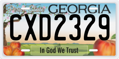 GA license plate CXD2329