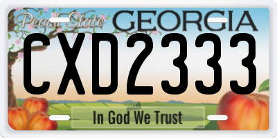GA license plate CXD2333