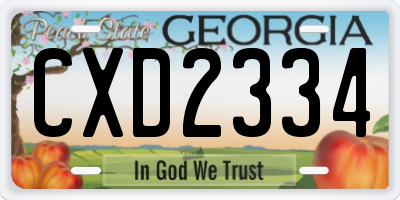 GA license plate CXD2334