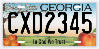 GA license plate CXD2345