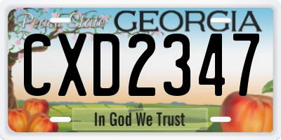 GA license plate CXD2347
