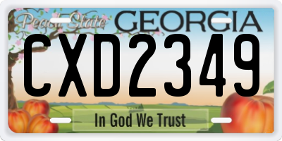 GA license plate CXD2349