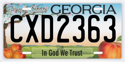 GA license plate CXD2363