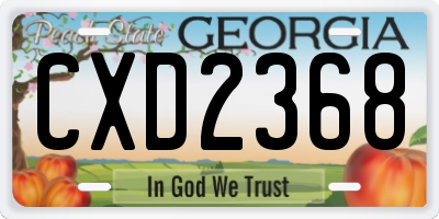 GA license plate CXD2368