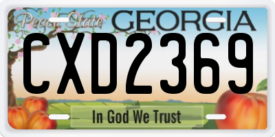 GA license plate CXD2369