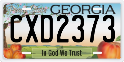 GA license plate CXD2373