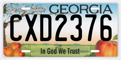 GA license plate CXD2376