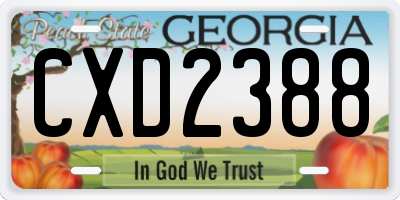 GA license plate CXD2388