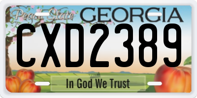 GA license plate CXD2389