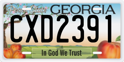 GA license plate CXD2391