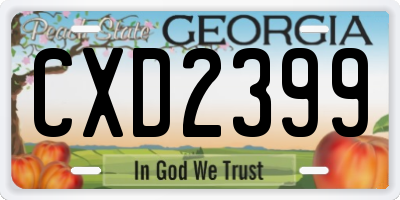 GA license plate CXD2399