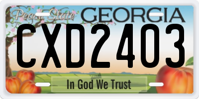 GA license plate CXD2403