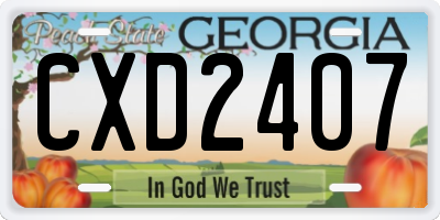 GA license plate CXD2407