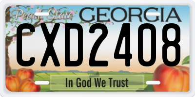 GA license plate CXD2408