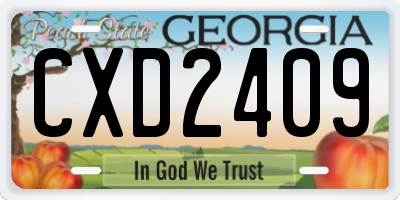 GA license plate CXD2409