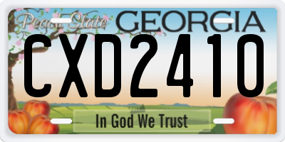 GA license plate CXD2410